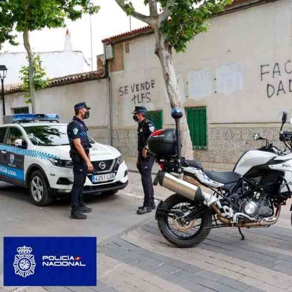 Más de mil plantas de marihuana incautadas y dos personas detenidas en Tomelloso