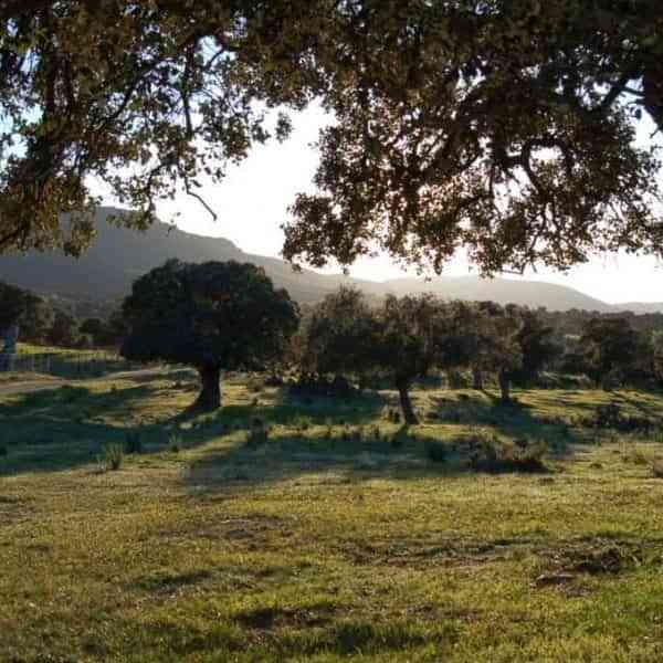 Valle de Alcudia y Sierra Madrona recibirá cerca de 1,5 millones de euros en la tercera asignación del PDR 2014-2020