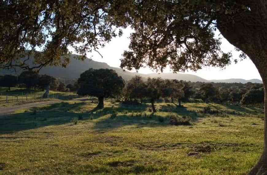 Valle de Alcudia y Sierra Madrona recibirá cerca de 1,5 millones de euros en la tercera asignación del PDR 2014-2020