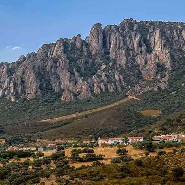 La ADS Valle de Alcudia destina 420.000 euros en la primera Convocatoria de Ayudas a proyectos no productivos este 2021