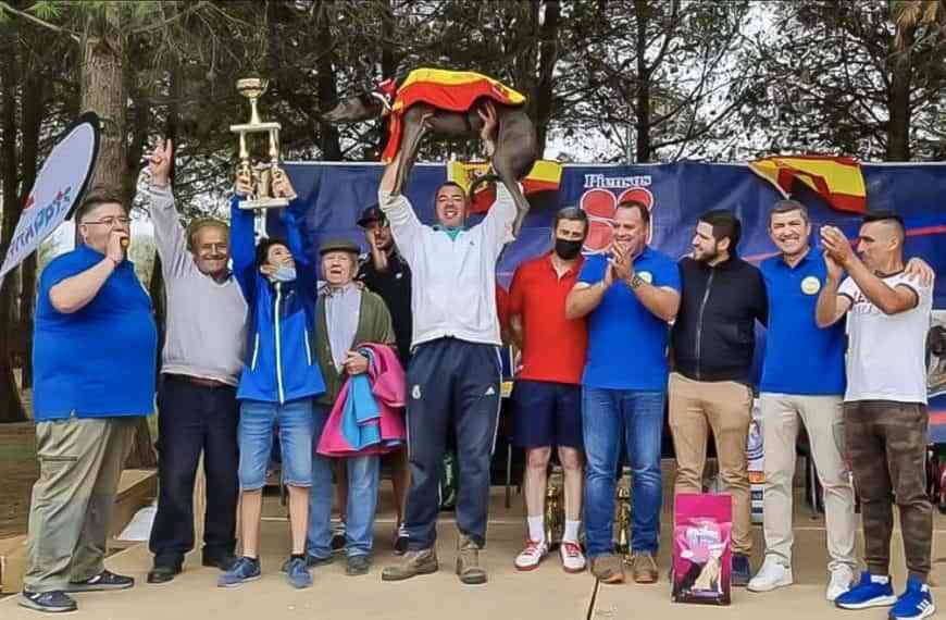 Gran domingo de carreras de galgos en la pista permanente de Argamasilla de Calatrava