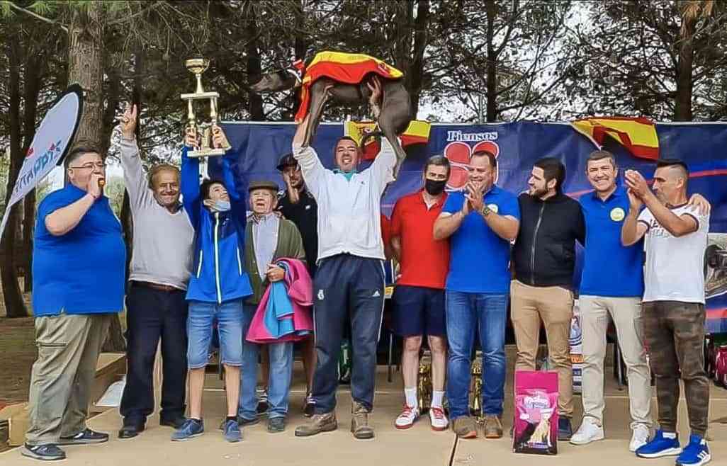 Final Liga Nacional de Galgos 1 - Gran domingo de carreras de galgos en la pista permanente de Argamasilla de Calatrava