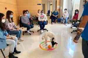 Éxito en las actividades formativas del Programa RECUAL que se está impartiendo en Argamasilla de Alba
