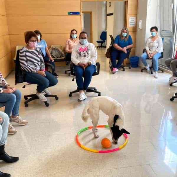 Éxito en las actividades formativas del Programa RECUAL que se está impartiendo en Argamasilla de Alba