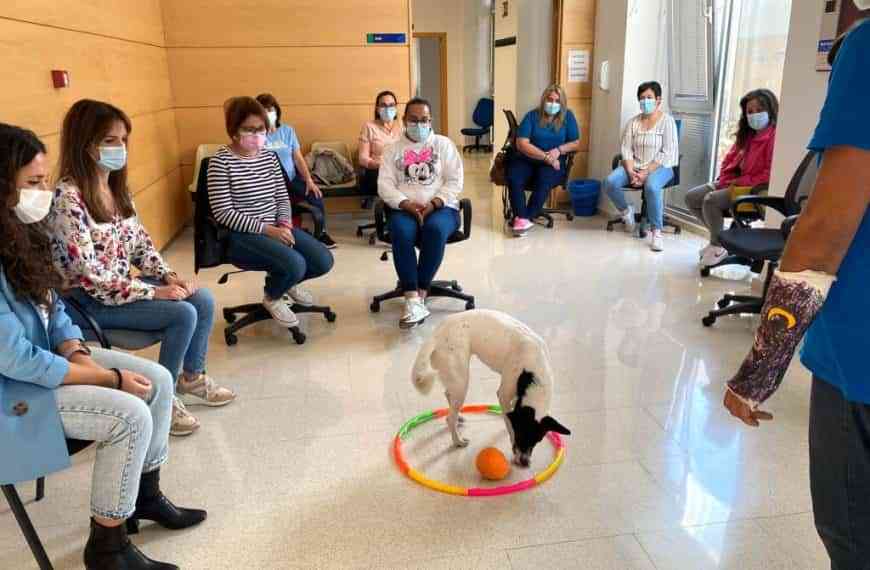 Éxito en las actividades formativas del Programa RECUAL que se está impartiendo en Argamasilla de Alba
