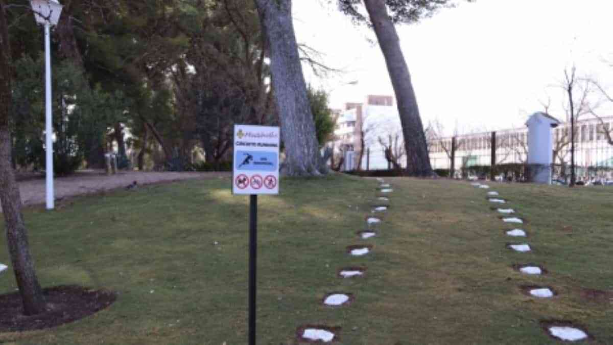 circuito running parque manzanares - Nuevo circuito de running de 1,3 kilómetros de extensión en el parque Julián Gómez-Cambronero de Manzanares