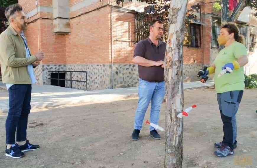 Nuevo tratamiento de endoterapia para luchar contra las plagas en las zonas verdes de Tomelloso