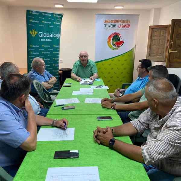 La Mesa de Precios de Melón y Sandía en C-LM prevé que los precios se vayan reajustando a medida que avanza agosto