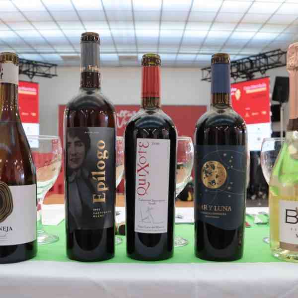 Vinos de 4 bodegas de Manzanares con tapas típicas en la multitudinaria cata conducida por la sumiller María José Huertas