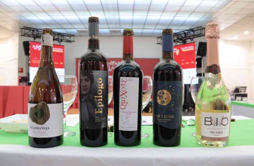Vinos de 4 bodegas de Manzanares con tapas típicas en la multitudinaria cata conducida por la sumiller María José Huertas
