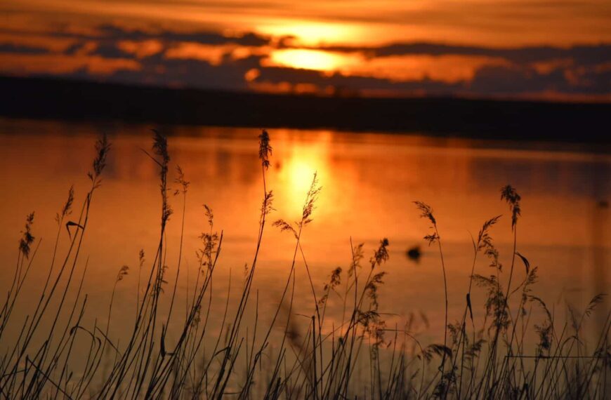 Tercera ruta ciclista de Lagunas Vivas para conocer la realidad y problemas de La Mancha Húmeda