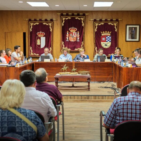 El pleno aprueba solicitar al Gobierno regional una UCI para el Hospital de Tomelloso 