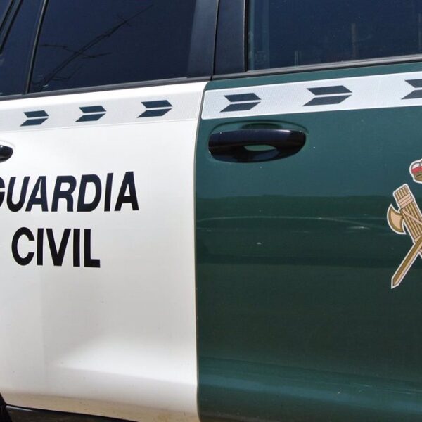 Aprehendido tras el asalto a una tienda de herramientas en Argamasilla de Calatrava