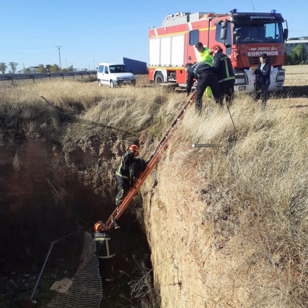 Bomberos contienen derrame de sustancia peligrosa en Argamasilla de Alba tras vuelco de camión con hidróxido potásico