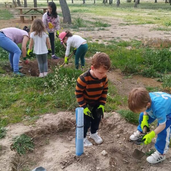 Las aulas corresponsables de Argamasilla de Alba celebraron el Día Internacional de los Bosques