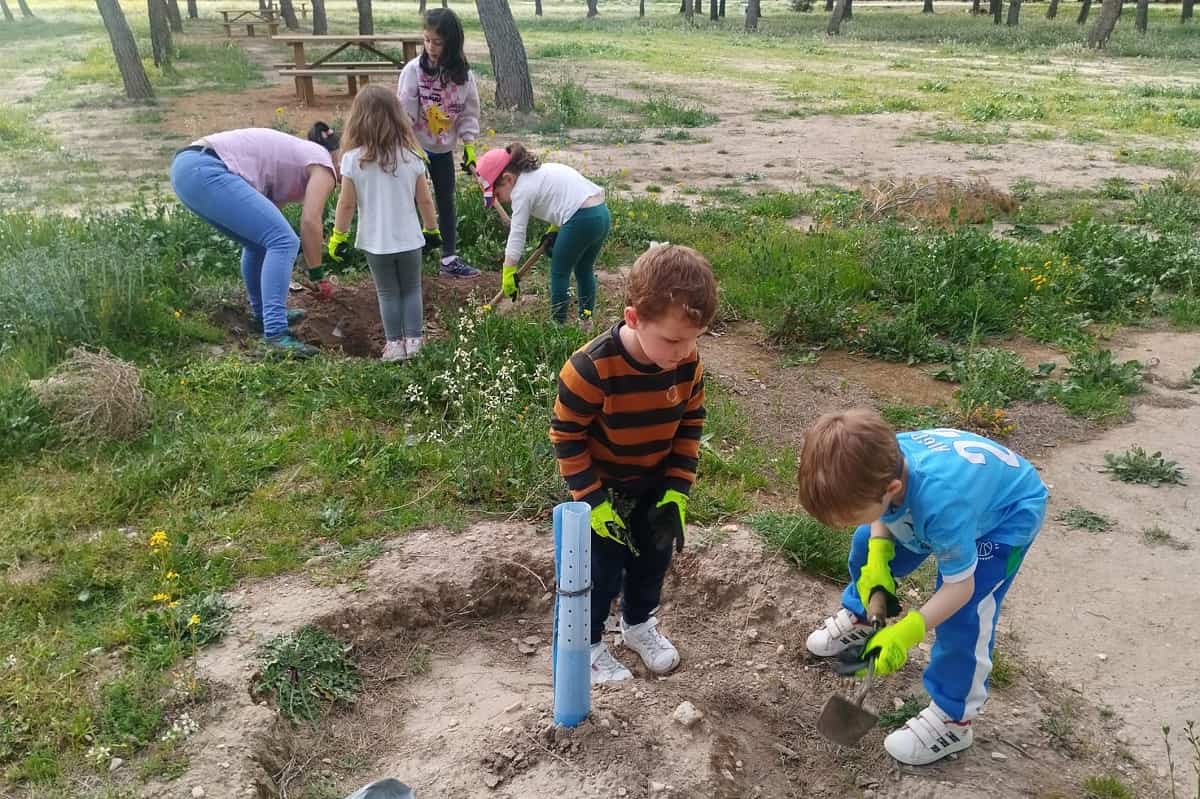 Las Aulas Corresponsables celebran el Dia de los Bosques - Las aulas corresponsables de Argamasilla de Alba celebraron el Día Internacional de los Bosques