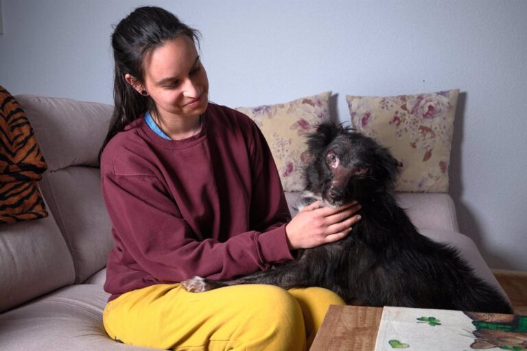 La dramática situación de Manila evidencia la necesidad de reforzar la Ley de Bienestar Animal