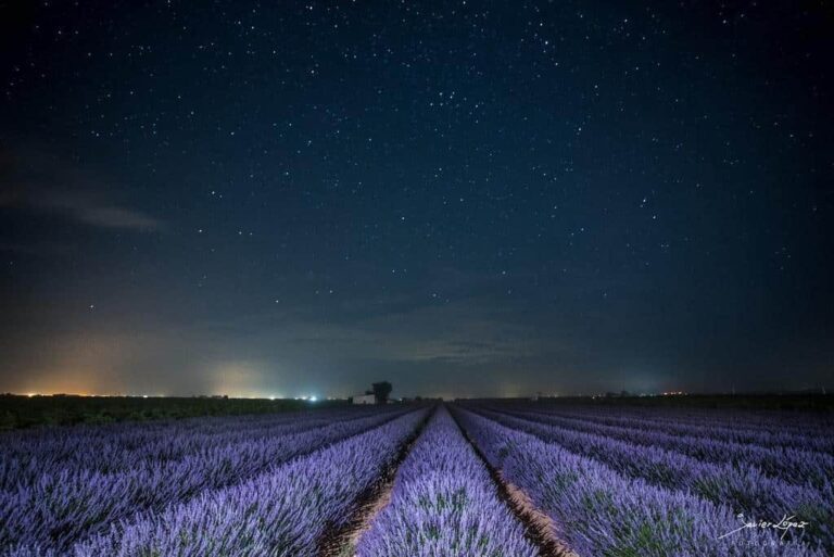 Los 8 mejores lugares de La Mancha para ver las estrellas este verano Los 8 mejores lugares de La Mancha para ver las estrellas este verano