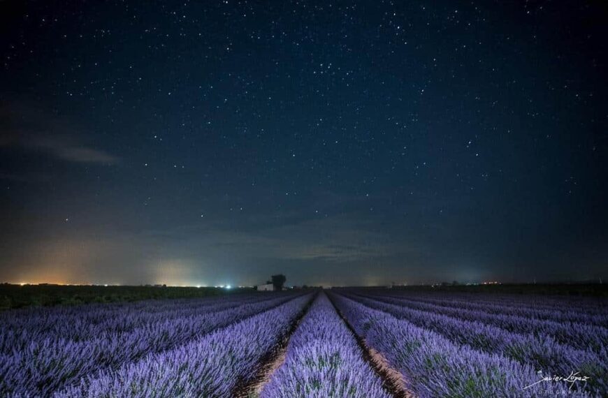 Los 8 mejores lugares de La Mancha para ver las estrellas este verano