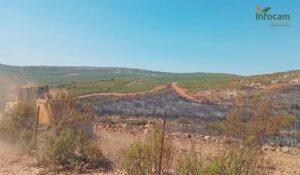 Controlan el Incendio en Argamasilla de Calatrava tras Intensa Lucha Contra las Llamas