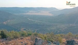 Incendio en Argamasilla Desciende a Nivel 0 Tras Devastar Más de 600 Hectáreas