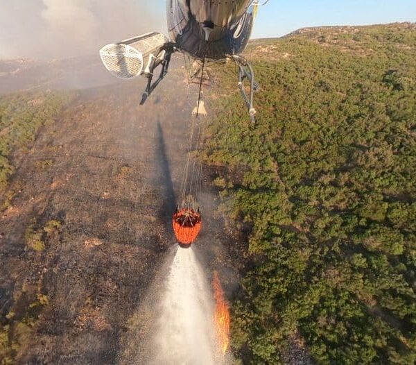 Refuerzos Contra Incendios: Argamasilla de Calatrava Combate el Fuego que Devasta 400 Hectáreas