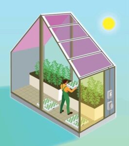Green Rain Solar Inc. anuncia el lanzamiento de invernaderos solares autónomos
