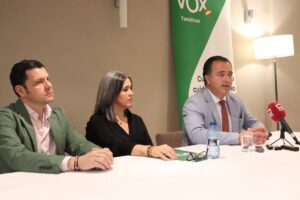 Vox solicitará en Cortes un estudio de viabilidad para integrar a Tomelloso y Argamasilla de Alba en la línea del tren
