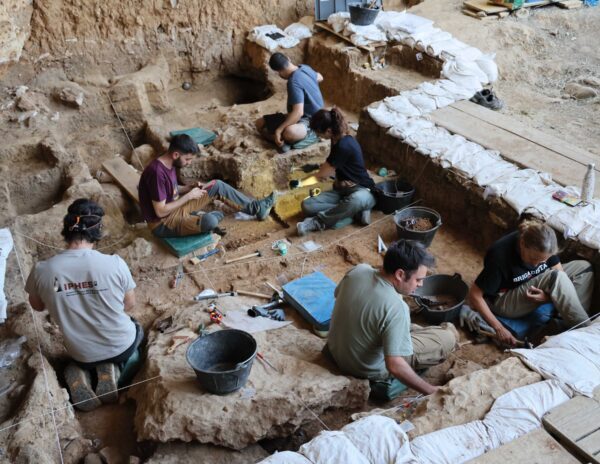 Los caballos más antiguos del linaje ibérico salen a la luz en las excavaciones de La Malia en Tamajón