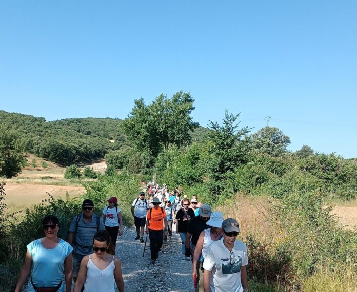 Más de un centenar de personas participaron en las II Jornadas sobre la Guerra Civil organizadas por la Sociedad de Amigos de Cogolludo