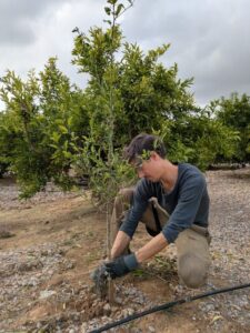Más del 80% de la juventud rural quiere implicarse en sus territorios