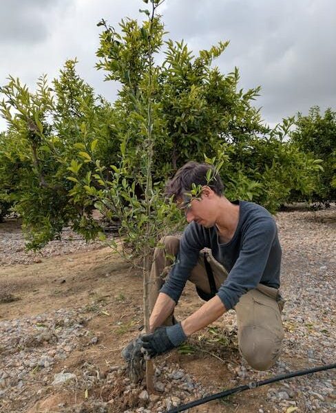 Más del 80% de la juventud rural quiere implicarse en sus territorios