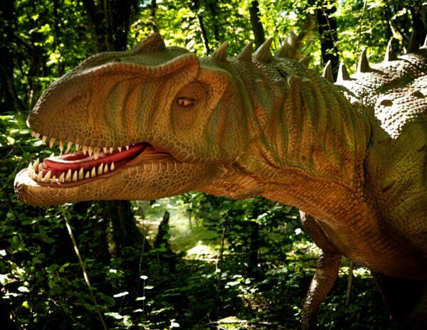 El Bosque Encantado abre DINOLANDIA MADRID el 28 de marzo: una experiencia entre dinosaurios para familias